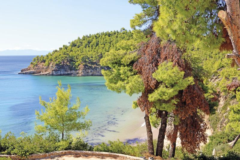 Alonissos, Alonissos Beach Bungalows & Suites Hotel, Strand