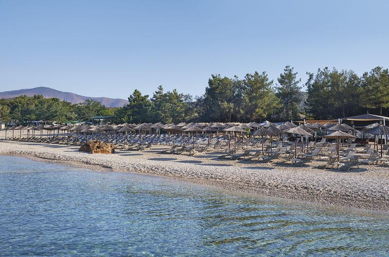 Thassos, Alexandra Elegance, Strand